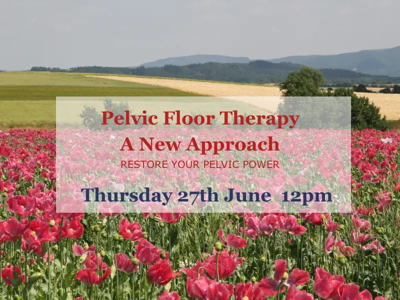 pelvic floor therapy